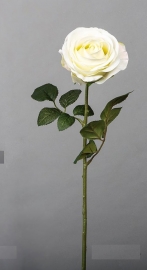 Rosa Blanca 68,5cm
