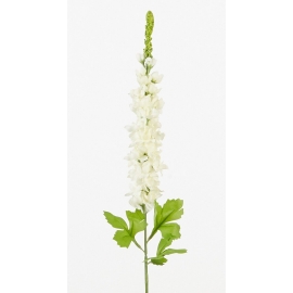 Vara Delphinium Blanco 86cm