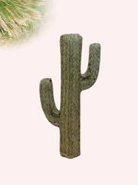 Cactus Esparto 150cms alto