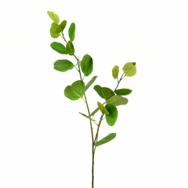 Rama Eucaliptus Verde L100cm