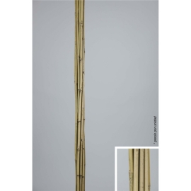 Caña Bambú Natural  1,3d x180cm Alto