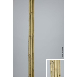 Caña Bambú Natural  2cms 180cm Alto