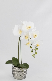 Maceta Orquídea Blanca 52 cm