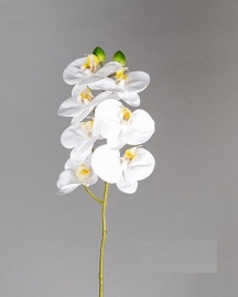 Orquídea Phalaenopsis Real Touch Blanca