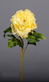 Peonia Amarilla 73,5cm