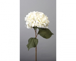 Hortensia Blanca 84cm