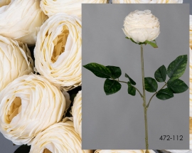 Rosa Blanca 65cm