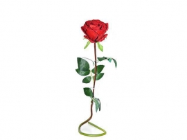 Rosa Roja 12x12x83 cm.