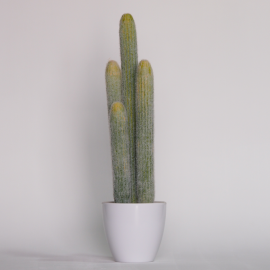Cactus artificial 53cms