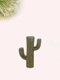 Cactus Esparto 50cm alto
