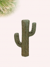 Cactus Esparto 80cm alto