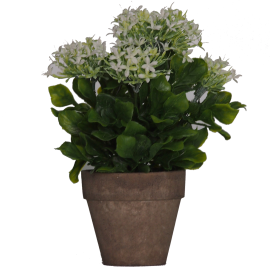 Planta artificial 25cms blanca