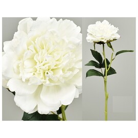 Peonia Real Touch Blanca 56cm