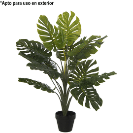 Planta Artificial Costilla Adán 70cm