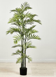 Planta Bambú 160cm