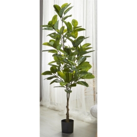 Planta Ficus 170cm