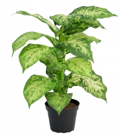 Prickblad planta artificial 40 cm