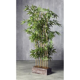 Separador Bambú 7 Ramas 155cm