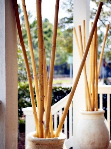 cañas de bambú decorativas