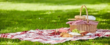 Un dia de pícnic
